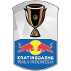 Piala Indonesia (Pokal Indonesien)